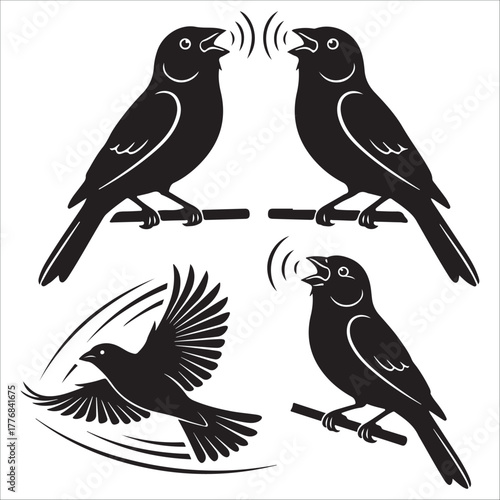 Set of canary black bird silhouettes: chirping, communicating, and flying