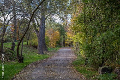 Wallpaper Mural Scenic park path surrounded by colorful autumn trees with golden and green foliage. Torontodigital.ca