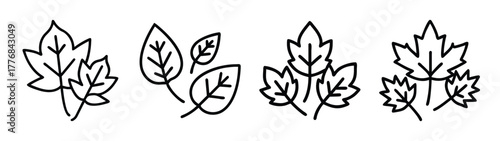 Vector drawing of various leaf groupings for botanical illustration and design elements use in art