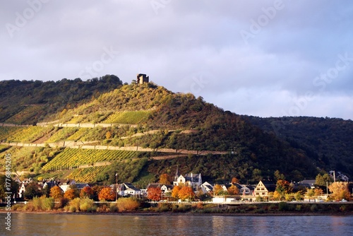 Stadtansicht von Rüdesheim am Rhein.