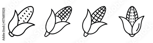 Corn on the cob vector illustration: outline drawing of fresh sweetcorn for coloring book and design use