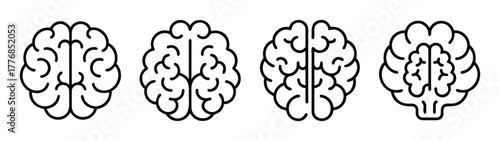 Human brain anatomy diagram vector illustration for medical education and research use