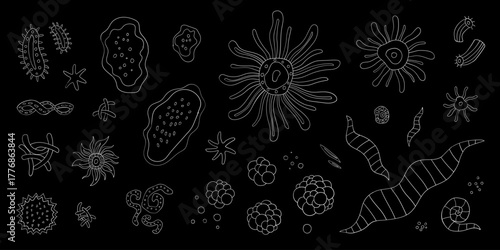 Microbes bacterias virus doodle set ,  vector hand drawn illustration collection