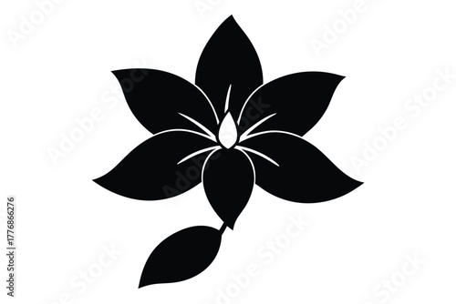 jasmine vector icon silhouette