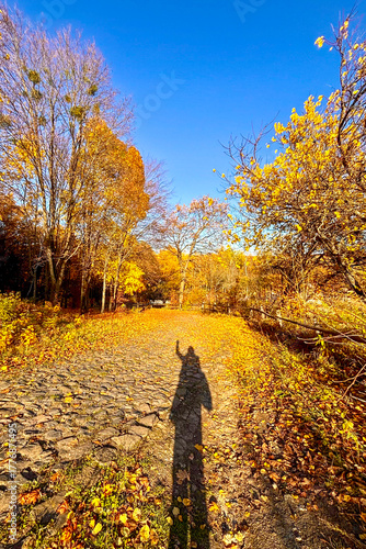 Fotografie Golden autumn colors light up the countryside among old wooden houses and ancient churches in Ukraine, creating a warm nostalgic atmosphere