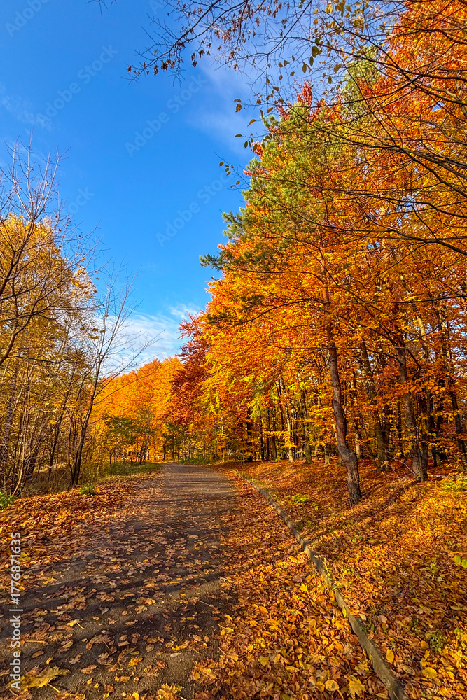 Fototapeta premium Golden autumn colors light up the countryside among old wooden houses and ancient churches in Ukraine, creating a warm nostalgic atmosphere.