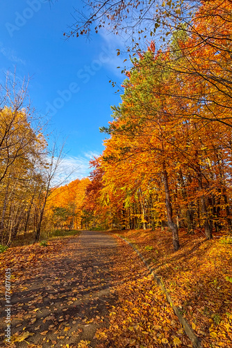 Golden autumn colors light up the countryside among old wooden houses and ancient churches in Ukraine, creating a warm nostalgic atmosphere.
