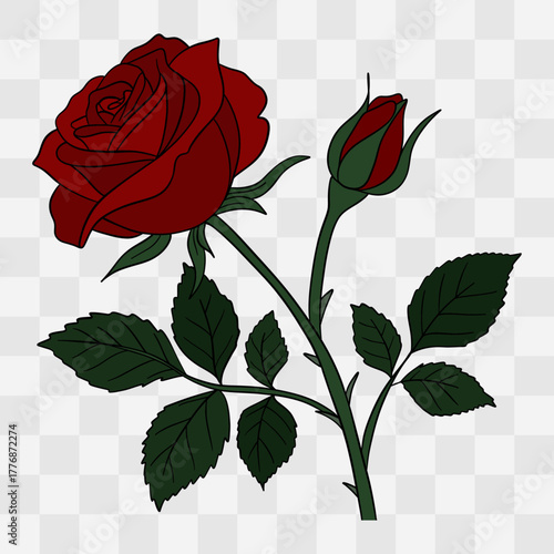 Hand-drawn illustration of red rose on transparent background. Elegant, romantic symbol of love, passion, and affection