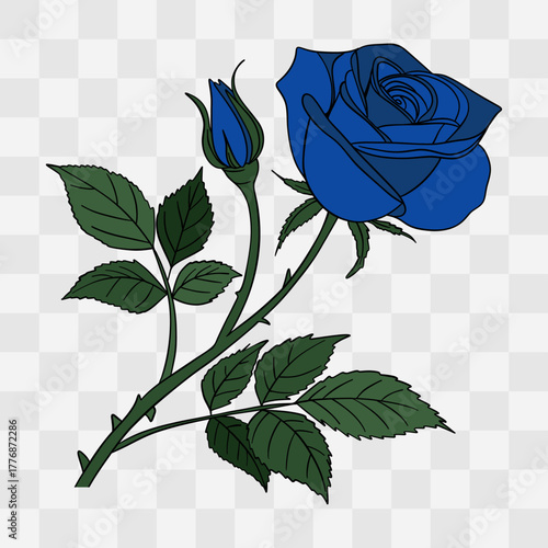Hand-drawn illustration of blue rose on transparent background. Elegant, romantic symbol of love, passion, and affection