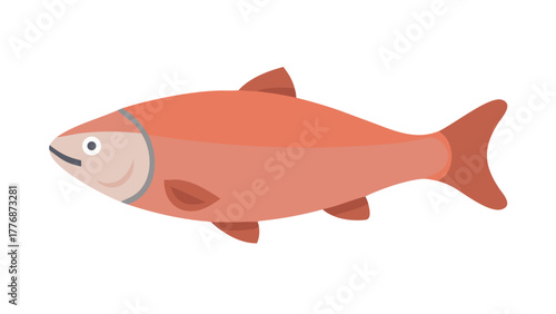 vector illustration of a fish