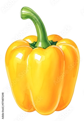 Yellow bell pepper illustration on white background  