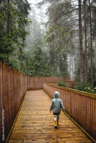 Walking along a path in a rainforest in autumn