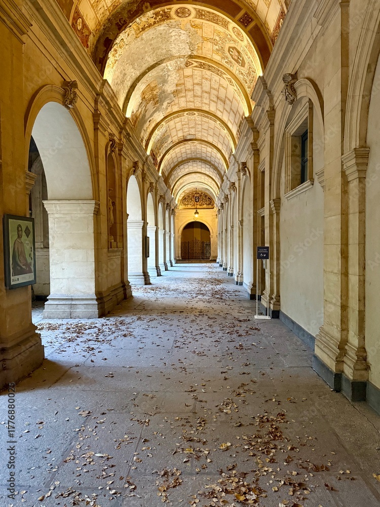 Fototapeta premium Lyon