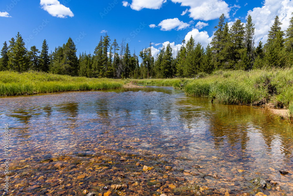 Fototapeta premium Shallow forest river with rocks and reflections of trees and clouds in Bighorn National Forest, Wyoming, USA