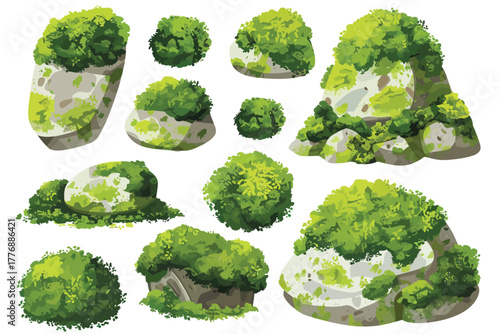 Terrarium Design Elements Moss Covered Stone Collection isolated illustration