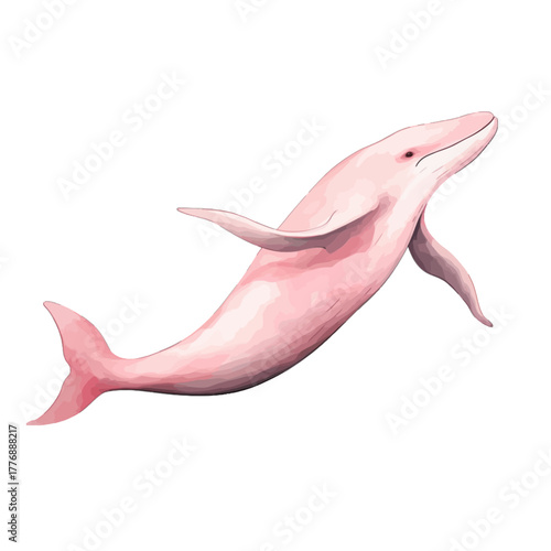 Pink Dolphin Isolated Vector Illustration, Amazon River Freshwater Animal
