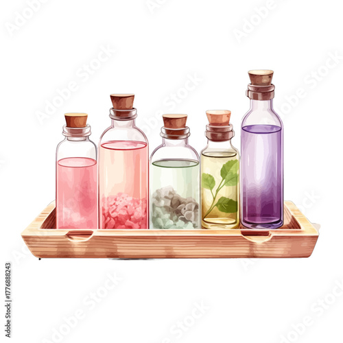 Watercolor Essential Oil Spa Bottles on Wooden Tray, Vector Illustration
