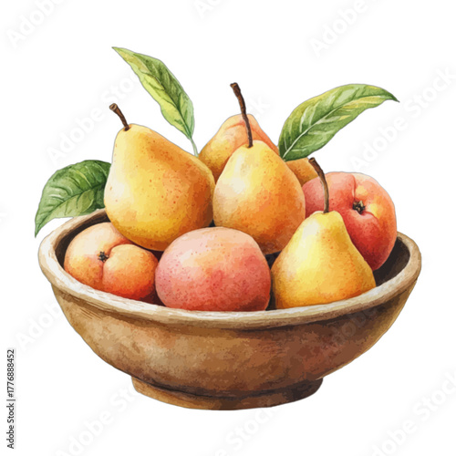 Watercolor Still Life Fruit Bowl with Pears and Apples, Vector Illustration
