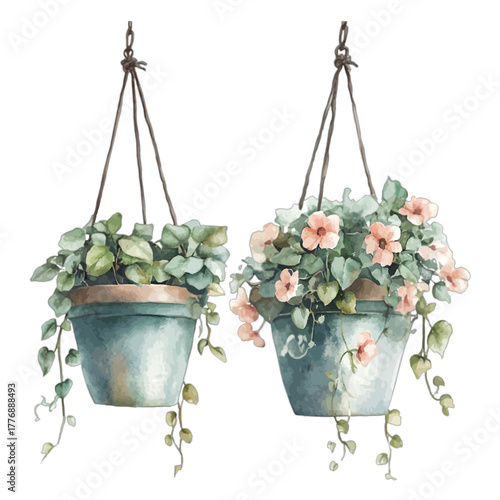 Watercolor Hanging Plants and Pink Flowers Vector Illustration
