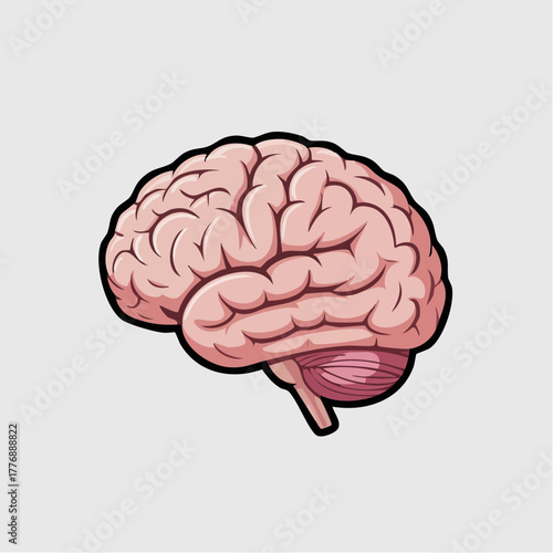 Illustration of a human brain with detailed gyri and sulci, showcasing its complex structure and function.