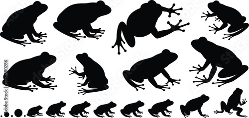 Frog silhouette and life cycle set, black amphibian poses, metamorphosis stages, biological illustration grid, nature icon design, vector visual