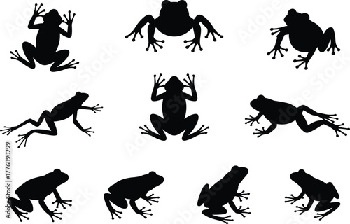 Frog silhouettes, amphibian poses, black shapes, leaping frog, crawling motion, sitting posture, nature icons, animal grid, behavior study, frog anatomy