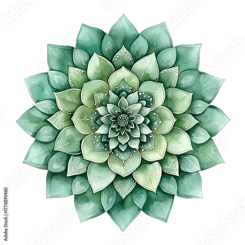 Watercolor Succulent Plant Clipart Vector Illustration
