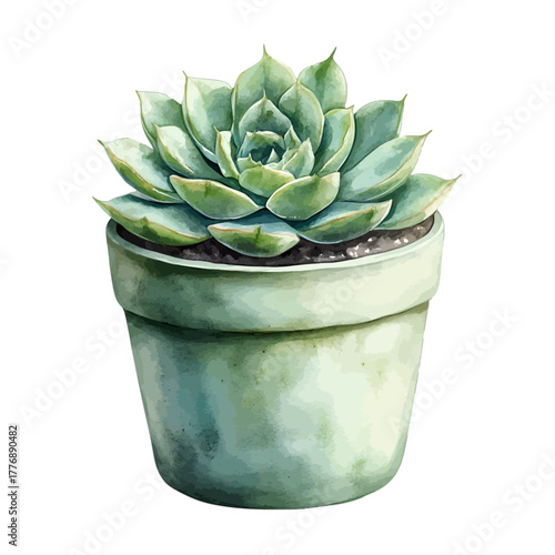 Watercolor Succulent Plant in Green Pot Vector Clipart Illustration
