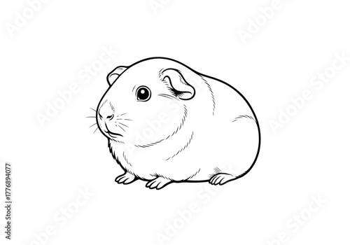 Guinea Pig in Illustration: A detailed black and white illustration of a guinea pig, capturing its adorable features and inviting a sense of gentle charm.