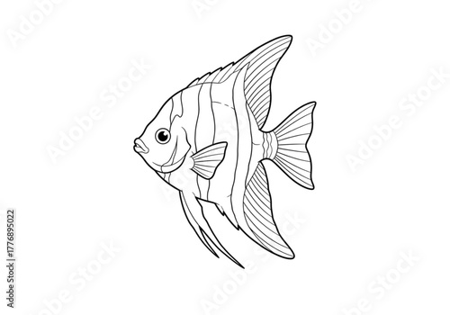 Angelfish line drawing: A graceful Angelfish, depicted in intricate line art, its elegant fins and distinctive shape showcased in a minimalist and artistic illustration.
