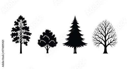 Four silhouetted trees of varying shapes and foliage are displayed
