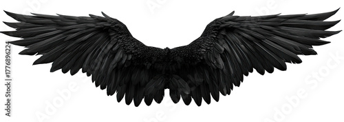 Dark, detailed pair of large, black angel wings