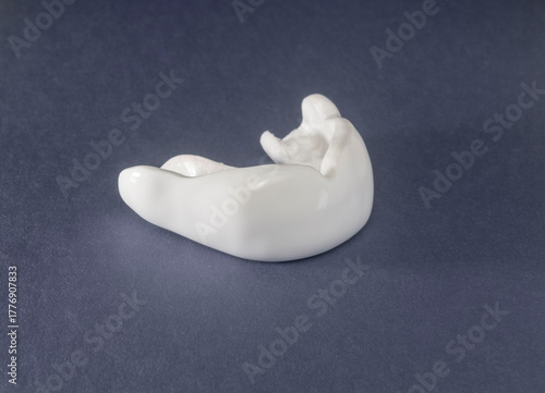 Bild auf Leinwand Customized mouthguard for martial arts – elite protection