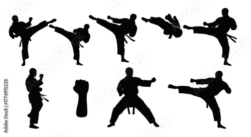 Dynamic Black Karate Silhouettes Against White Background