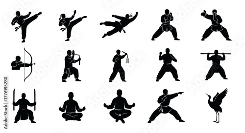 Martial arts silhouettes collection various techniques and training exercises