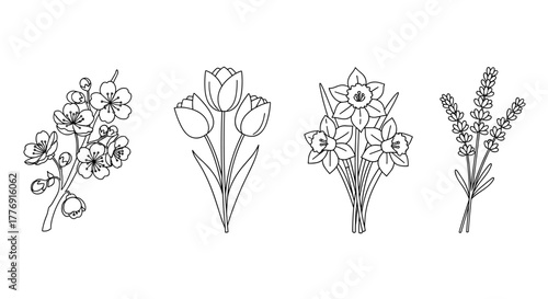 A delicate and elegant collection of spring blossom icons presented in a clean outline style, featuring a blooming cherry blossom branch, a cluster of tulips, a bunch of daffodils, and sprigs of