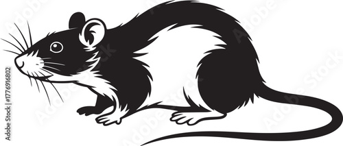 Black and white illustration of a rat with sharp fur details and whiskers rodent animal