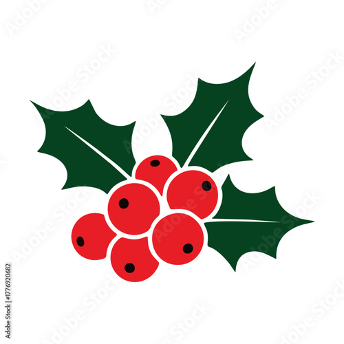 vector holly berries with red berries