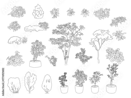 外構・庭植栽のイラスト