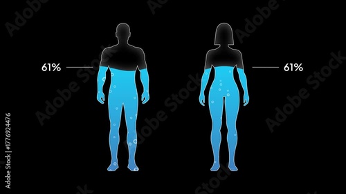 Water Percentage 65% in human body animated, Black background