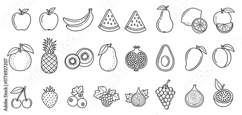 Collection of hand drawn fruit and vegetable illustrations isolated on white background