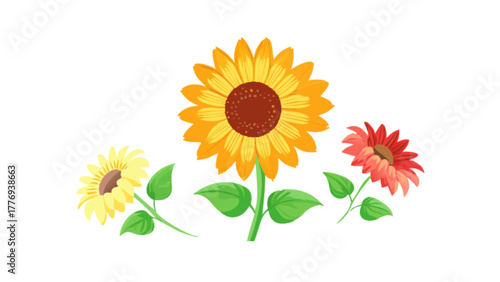 Three sunflowers