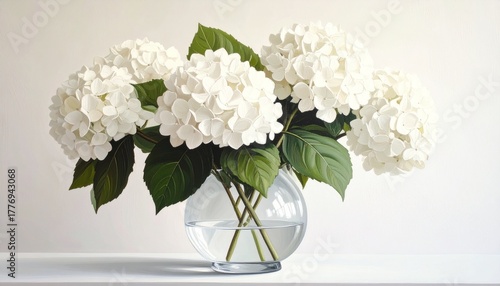 white hydrangeas, vast, painting, watercolor, still life, green, leaves, leaf, ambient, wall art