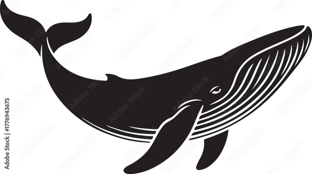 Fototapeta premium Black silhouette of a blue whale with white details on white background vector