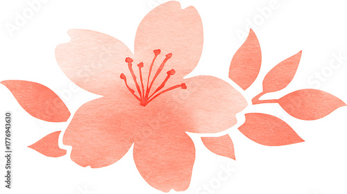 A pink flower with a white center