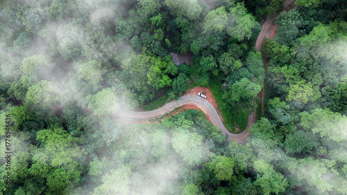 Aerial view of a winding road curving through lush green tropical forest with misty atmosphere. Drone view of green tree captures CO2 to Sustainable green environment.