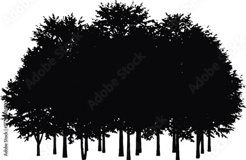 tree silhouette vector, The image presents a black and white silhouette of a dense cluster of trees, characterized by a striking contrast between the dark shapes of the trees and the clean 