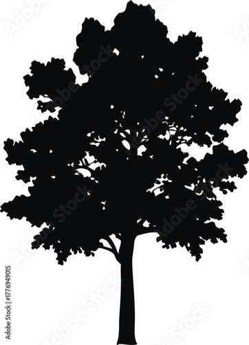 Tall Tree Silhouette Vector, Black Tree Outline with Dense Foliage for Nature and Graphic Design
