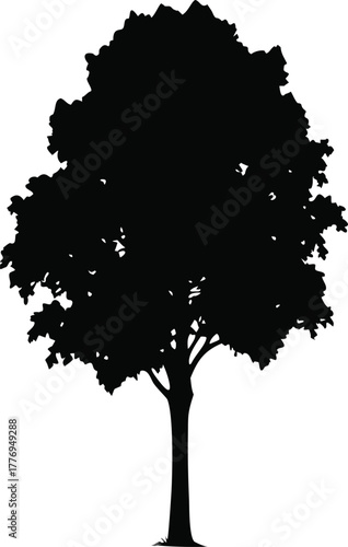Tree Silhouette Vector Illustration, Isolated Black Tree Design for Nature, Landscape, and Outdoor Projects