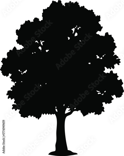 Tree Silhouette Illustration, Black Deciduous Tree with Dense Canopy Isolated on White Background for Nature and Landscape Projects